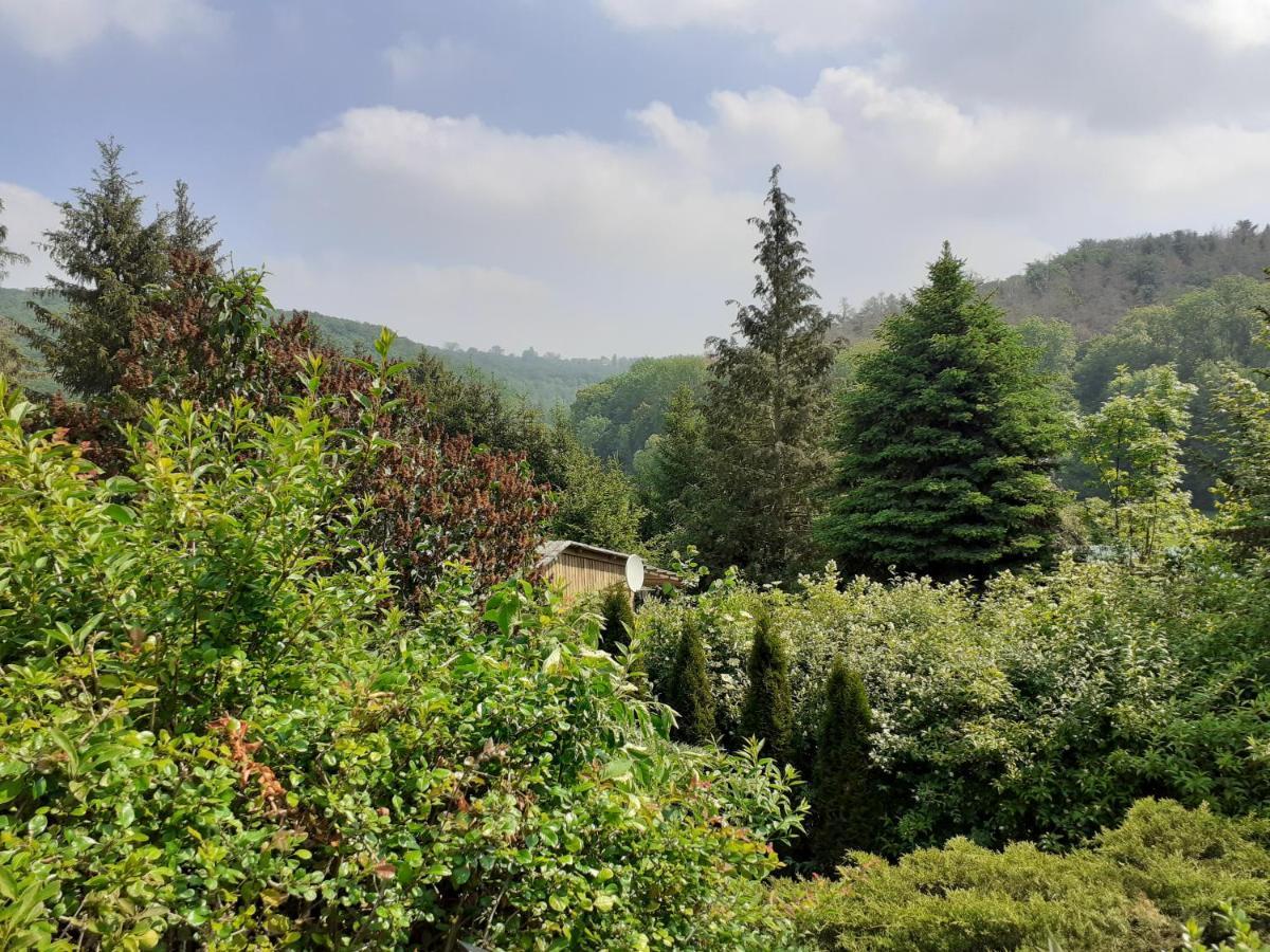 Talblick 2 - Ihr Zuhause : Das Ferienhaus Mitten Im Idyllischen Tal Bad Bibra Ngoại thất bức ảnh